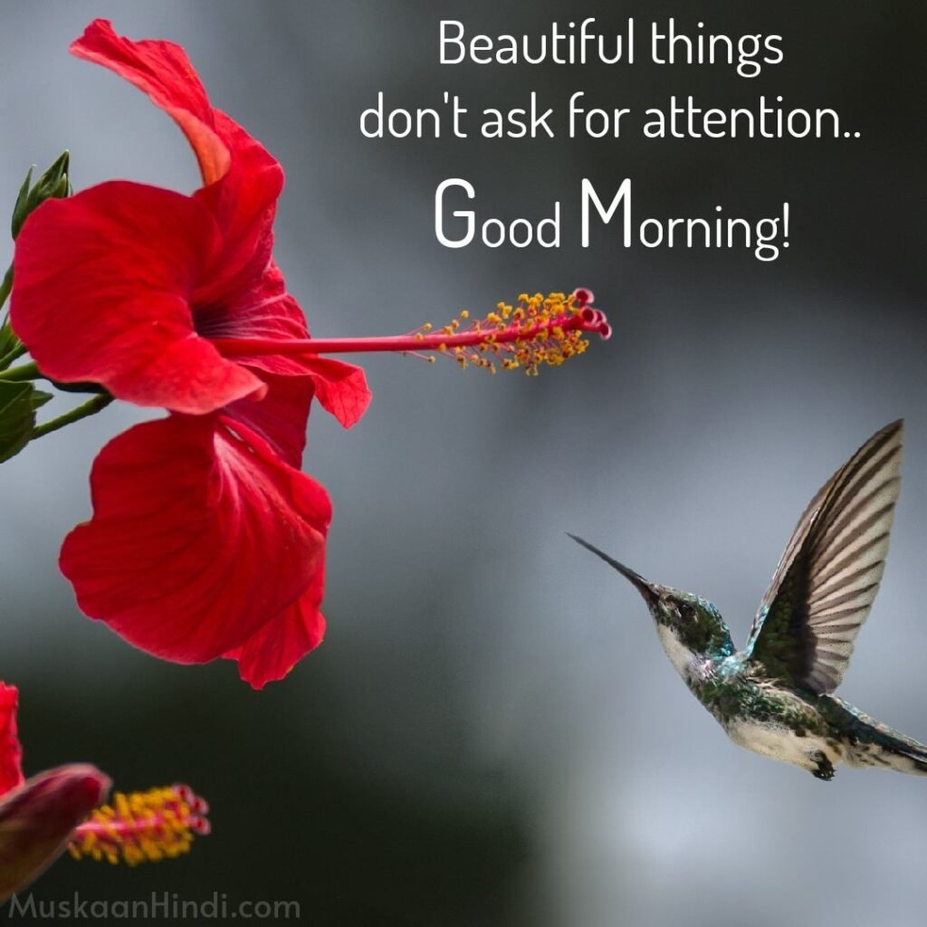 Best Beautiful Quotes on morning 1024x1024