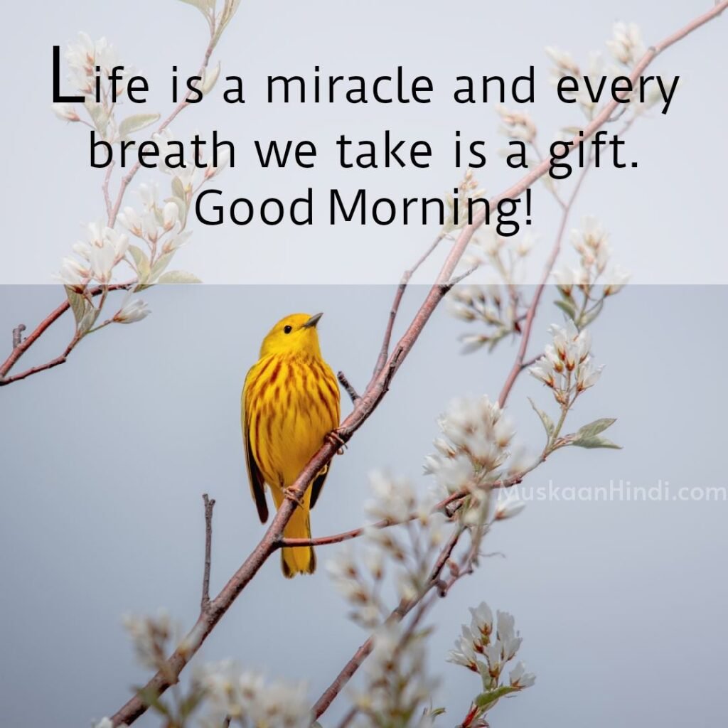 Morning Life Quotes 1024x1024