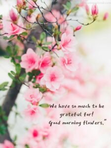 beautiful pink fowers good morning quotes wish pic 225x300