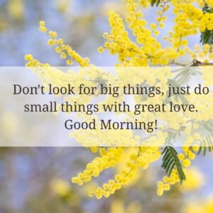 great good morning quotes with images 300x300