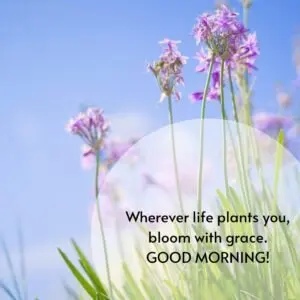 Positive good morning quote about life with image