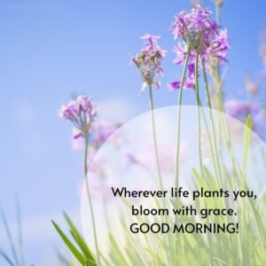 life good morning positive quotes with images 300x300
