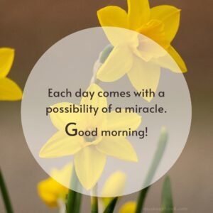 life miracles positive good morning quotes images 300x300